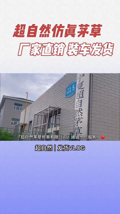 寧夏超自然茅草貿(mào)易 綠色環(huán)保的仿真茅草行業(yè)引領(lǐng)者