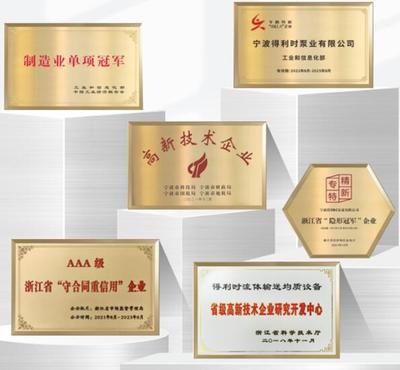 得利時(shí)泵業(yè)入選浙江省內(nèi)外貿(mào)一體化企業(yè)，彰顯浙江服務(wù)型制造新標(biāo)桿